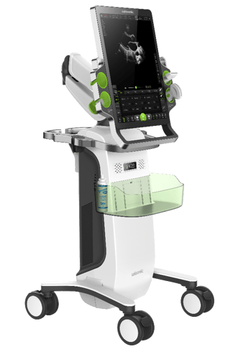 Carnation Ultrasound