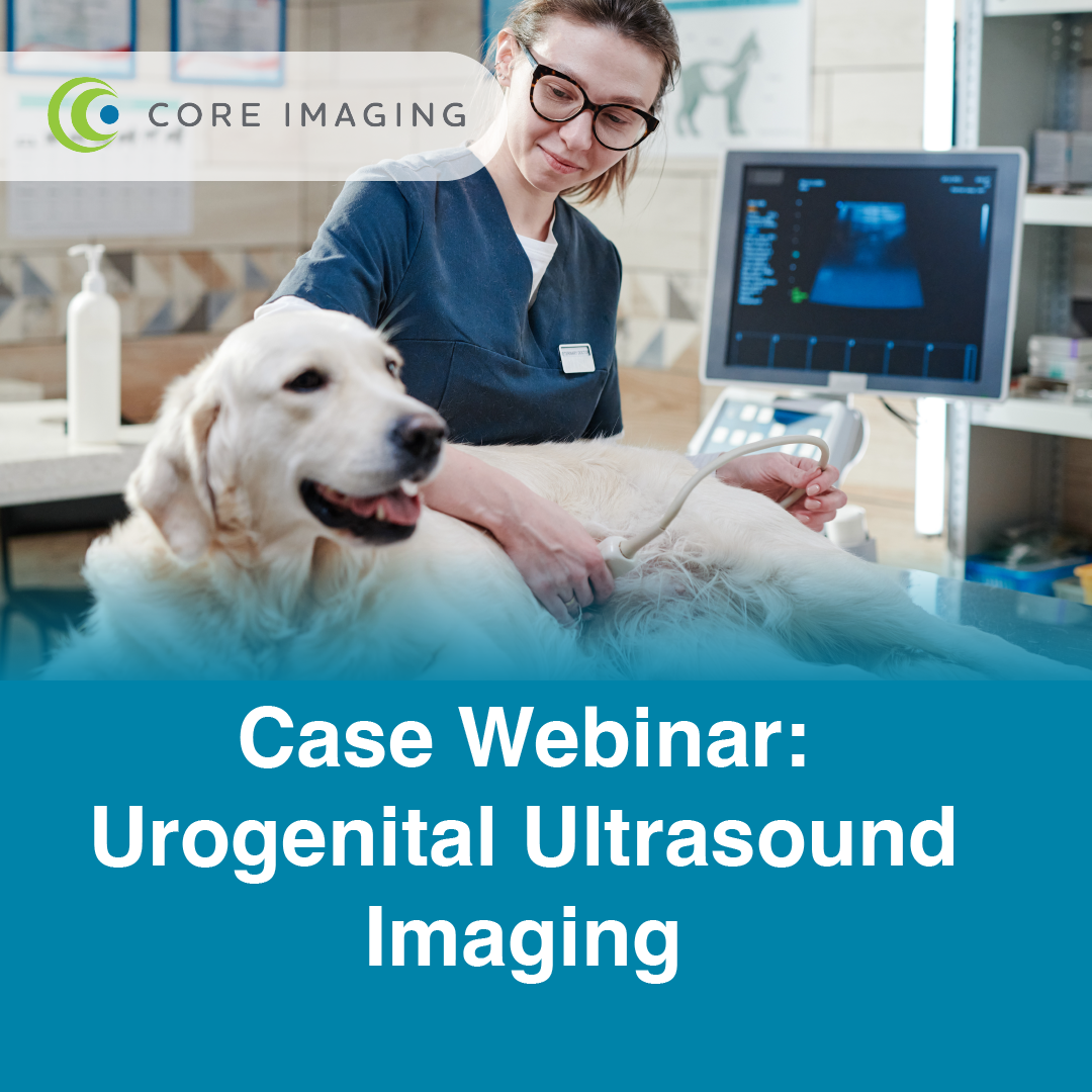 Case Webinar: Urogenital Ultrasound Imaging