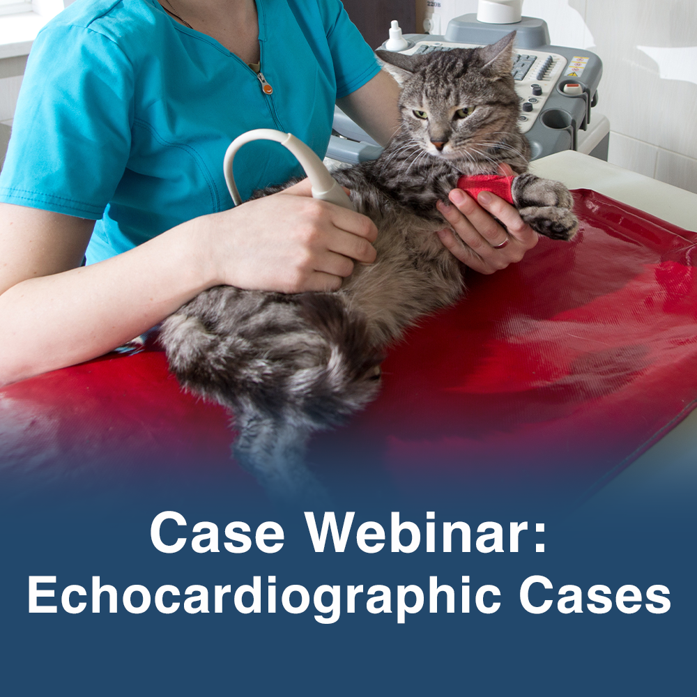 Case Webinar: Echocardiographic Cases